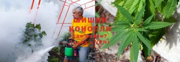 ешки Дмитров
