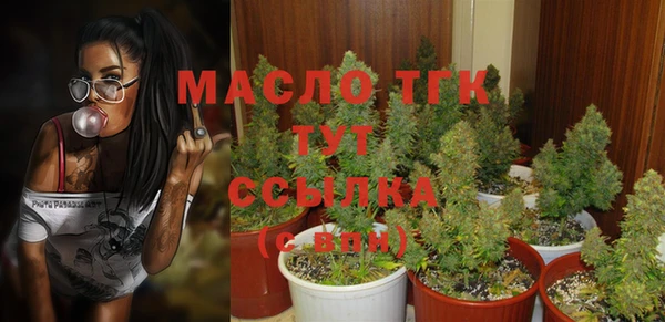 ешки Дмитров