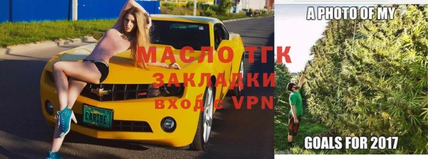 хмурый Дмитровск