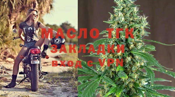 хмурый Дмитровск