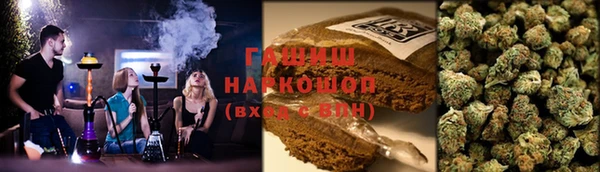 хмурый Дмитровск