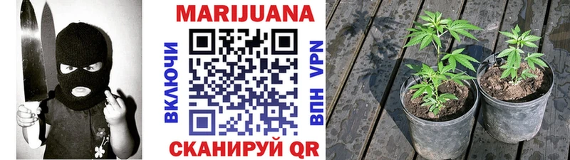 наркошоп  Данков  Конопля MAZAR 